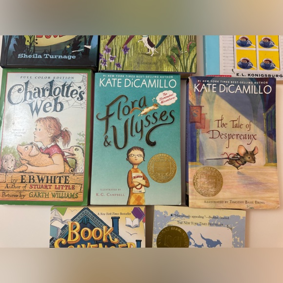 Young reader chapter book bundle - Picture 4 of 9